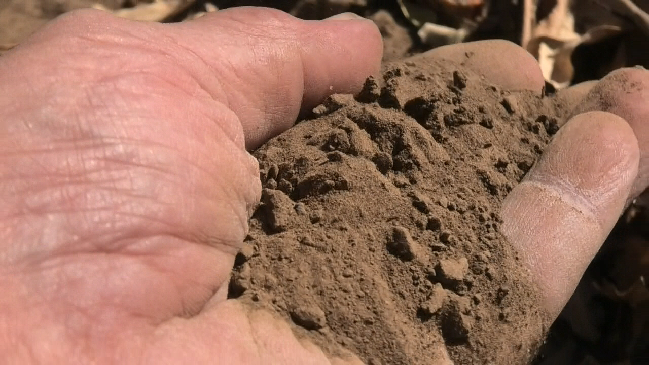 Soil